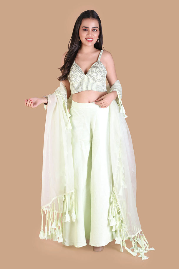 pastel mint green lehenga with embroidered blouse & fringe dupatta