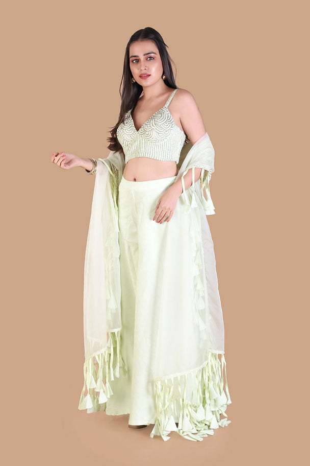 pastel mint green lehenga with embroidered blouse & fringe dupatta