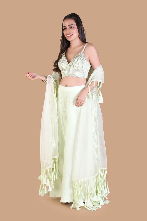 pastel mint green lehenga with embroidered blouse & fringe dupatta