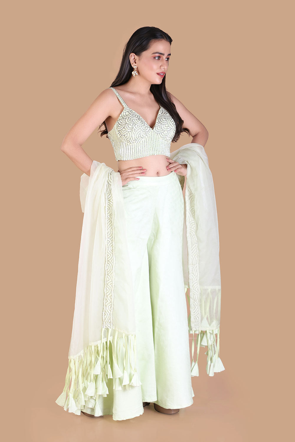 Pastel Mint Green Lehenga with Fringe Dupatta - LABEL KAVITA