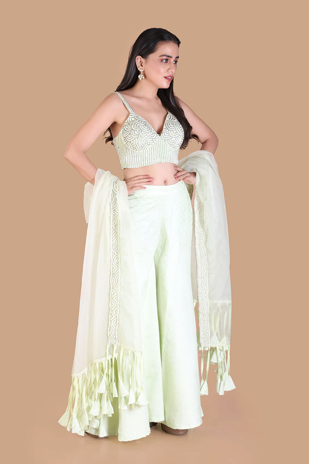 pastel mint green lehenga with embroidered blouse & fringe dupatta