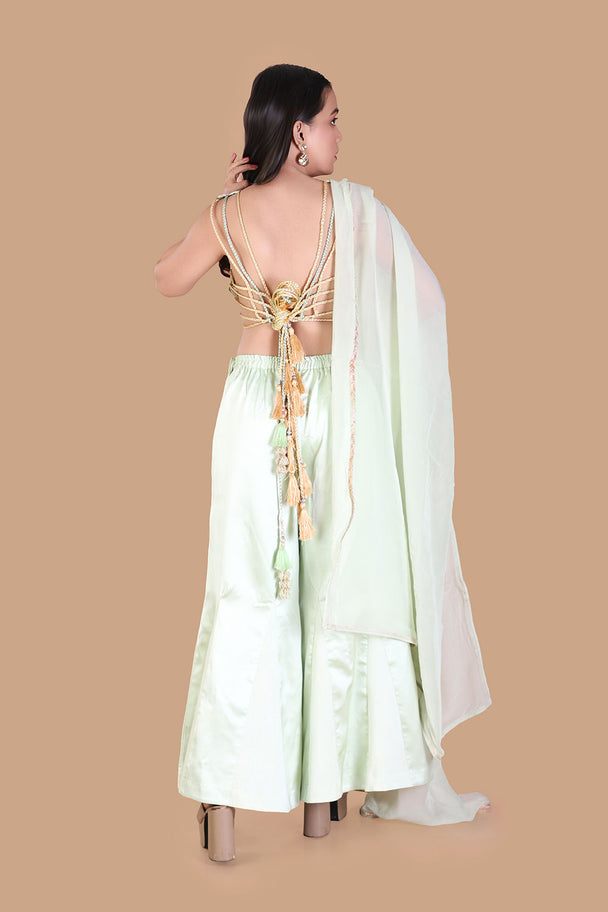 pastel mint green lehenga with embroidered blouse & fringe dupatta